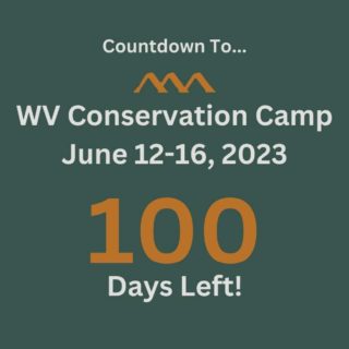 We are 100 Days away from Conservation Camp! 
Who is getting excited!? Follow the 100-Day Countdown ➡️ https://wvconservationcamp.com/